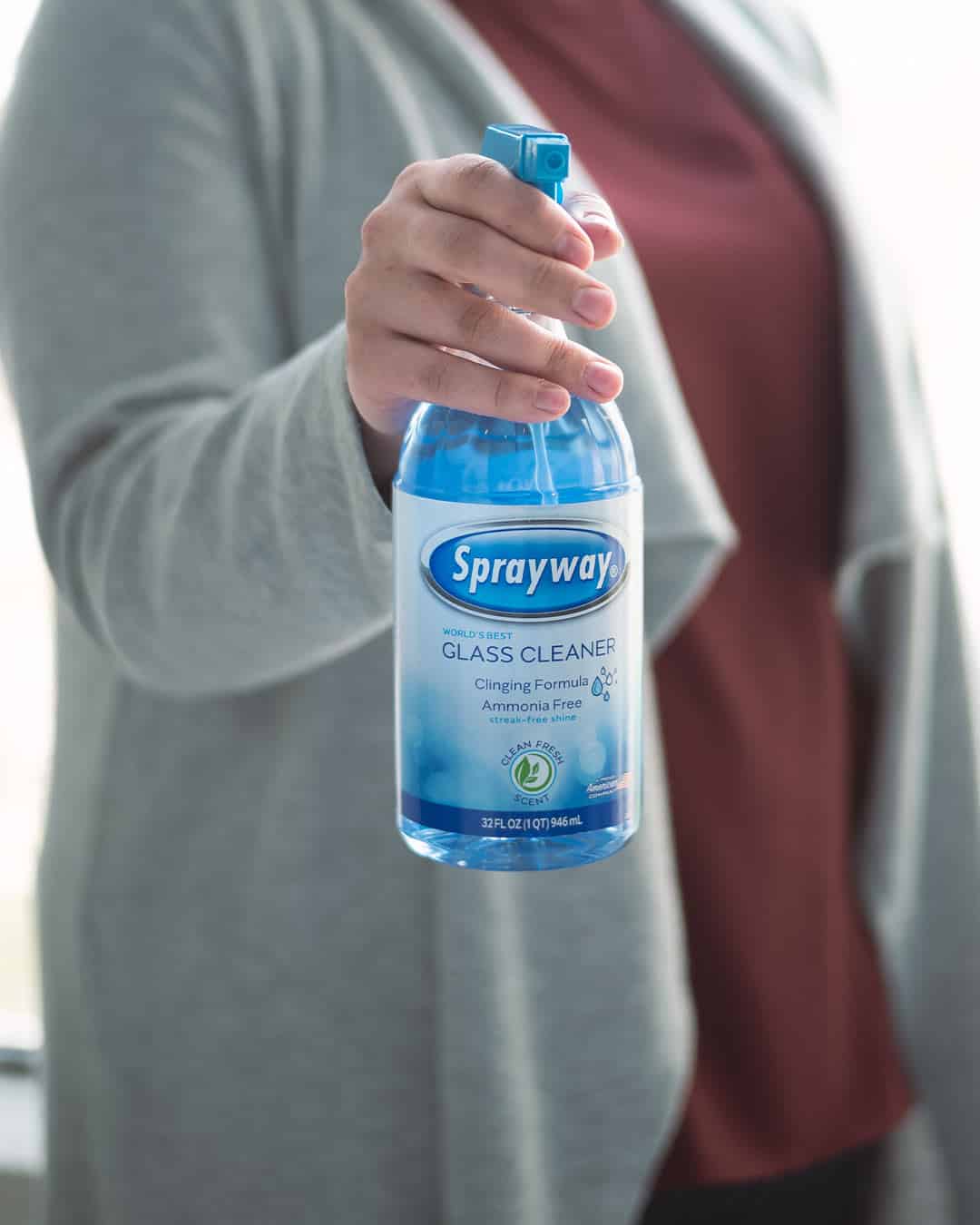 Sprayway Glass Cleaner Clinging Spray
