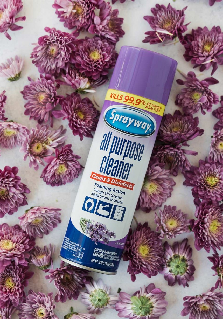 Sprayway All Purpose Cleaner Lavender Scent Sprayway